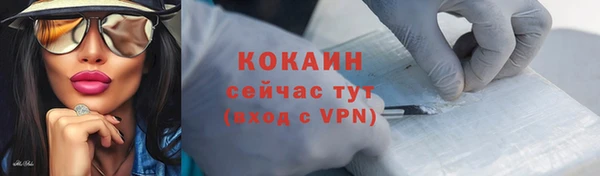 Альфа ПВП Верея