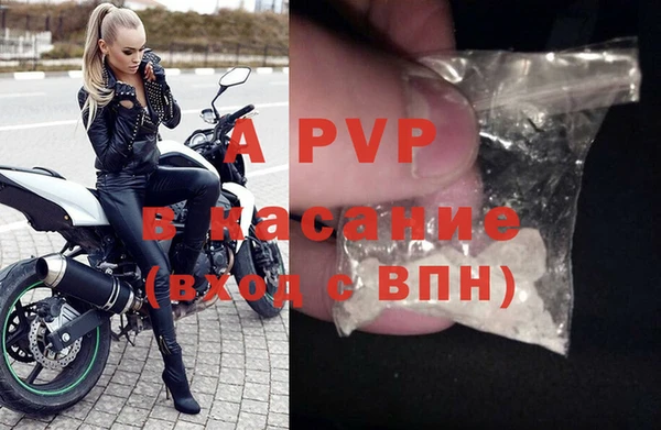 Альфа ПВП Верея