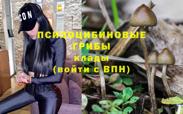 Альфа ПВП Верея
