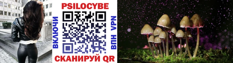 Купить где  Обнинск  Псилоцибиновые грибы прущие грибы 