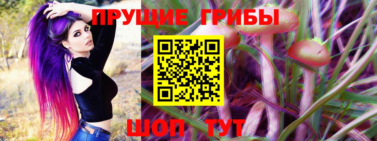 Псилоцибиновые грибы ЛСД Обнинск