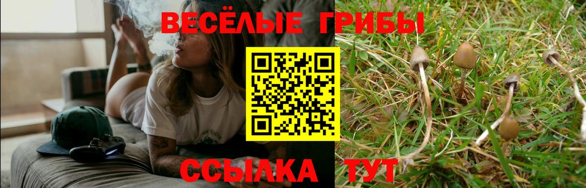 Псилоцибиновые грибы Magic Shrooms  Обнинск 